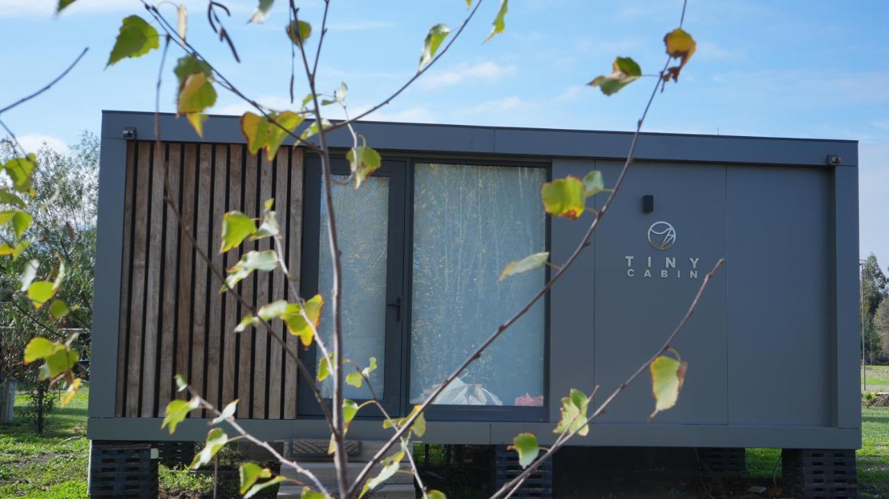 Apartmán Tiny Colchagua Cabanas Y Padel Santa Cruz Exteriér fotografie